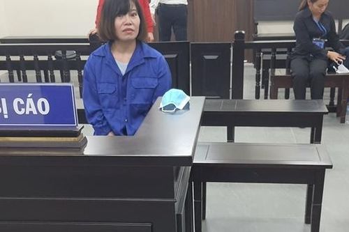 Lừa kinh doanh du lịch, nữ Giám đốc chiếm đoạt hàng chục tỷ đồng