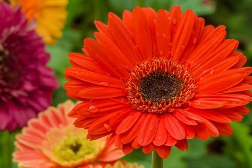 Trẻ có giờ sinh này may mắn đầy tay, trưởng thành vượng tài lộc
