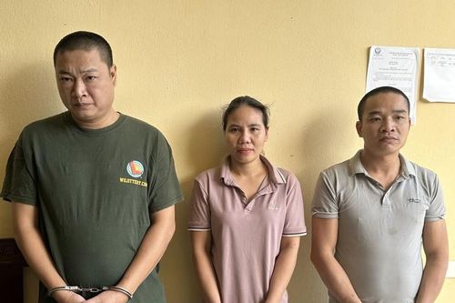 Nợ nần cờ bạc, chồng rủ vợ dùng ô tô đi trộm cắp
