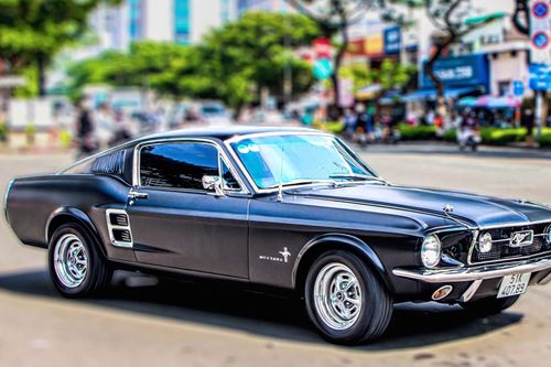 Ngắm xe cổ 1967 hàng hiếm của ông Đặng Lê Nguyên Vũ