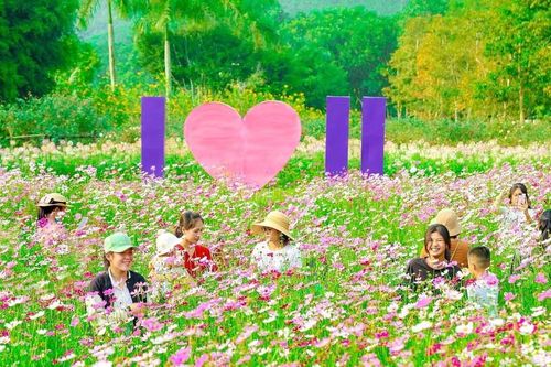Trải nghiệm vẻ đẹp 'Đà Lạt thu nhỏ của Nghệ An'