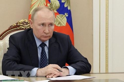 Tổng thống Nga Vladimir Putin không dự Hội nghị cấp cao APEC 2022