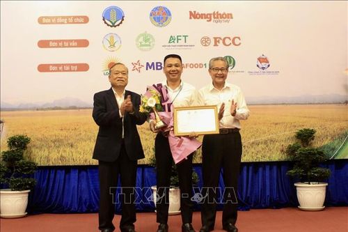 Thông tin về kết quả cuộc thi Gạo ngon Việt Nam năm 2022