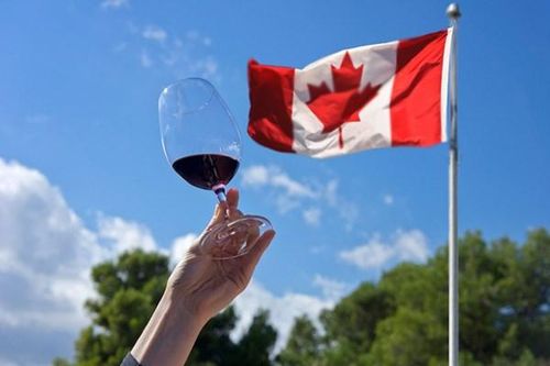 Chính phủ Canada đầu tư gần 1 triệu CAD cho ngành sản xuất rượu vang