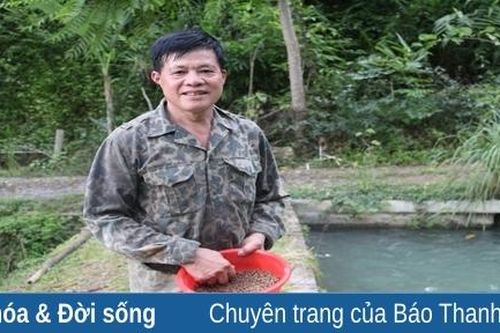 Đầu tư nuôi cá, phát triển du lịch cộng đồng