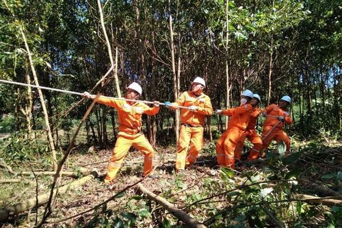PC Thái Nguyên cấp điện ổn định phục vụ diễn tập khu vực phòng thủ tỉnh Thái Nguyên năm 2022