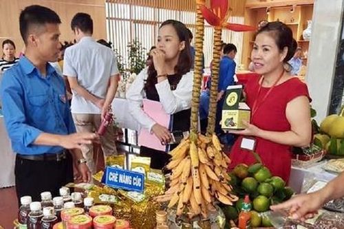 Xây dựng nông thôn mới: Nhìn từ mô hình HTX do thanh niên làm chủ