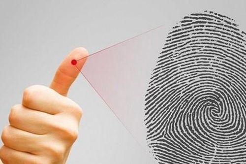 Những sự thật thú vị về dấu vân tay