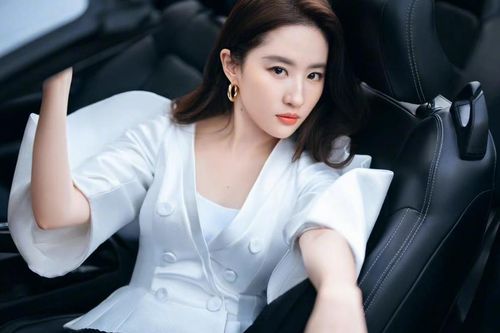 Bộ sưu tập siêu xe của Lưu Diệc Phi