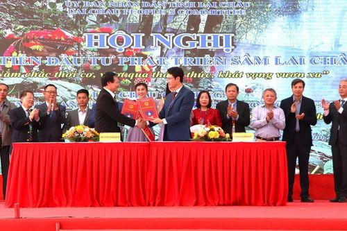 Sâm Lai Châu khát vọng vươn xa