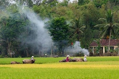 Lan man ngọn khói