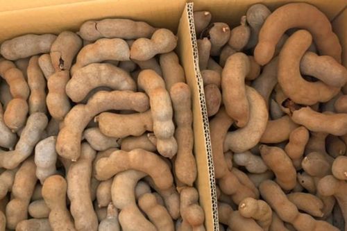 Phát hiện hơn 1 tấn me sấy khô nghi nhập lậu