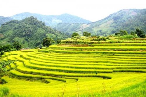 Check-in ở Đại Dực