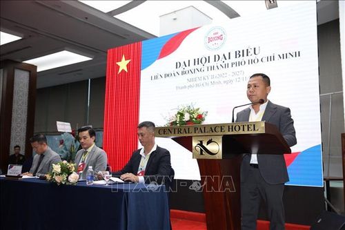 Tối ưu hóa nguồn lực xã hội để phát triển bộ môn boxing vươn tầm quốc tế