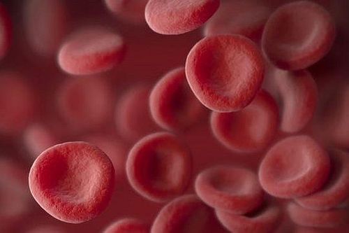 Những bệnh nhân đầu tiên được truyền tế bào máu nuôi cấy trong phòng thí nghiệm