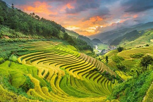 Trải nghiệm Mường Than mùa lúa chín