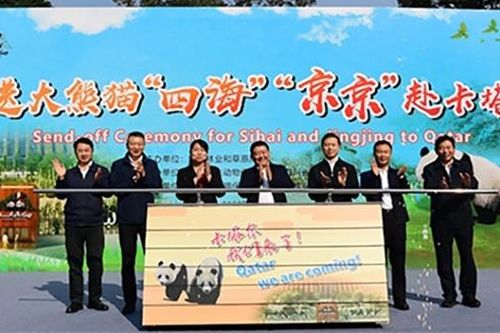 'Ngoại giao gấu trúc' trước thềm World Cup