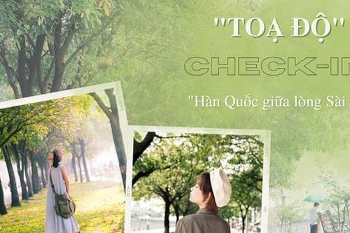 Tọa độ check-in: Con đường lá bay đẹp như bên Hàn, không thu phí lại có ảnh xịn xò mang về