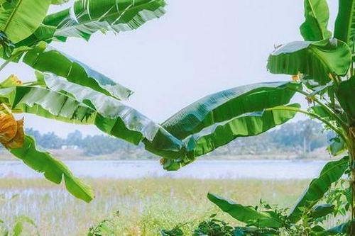Nghe gió giao mùa