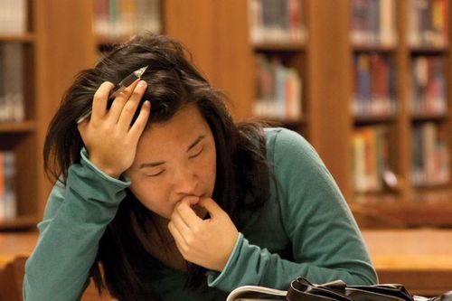 Áp lực học hành tại các nước Âu Mỹ