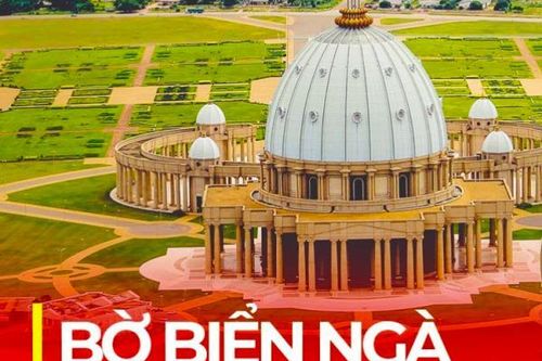 Kết nối doanh nghiệp Việt Nam - Bờ Biển Ngà