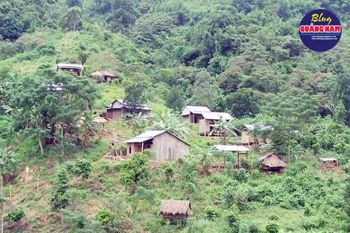 Hội ngộ trời ban