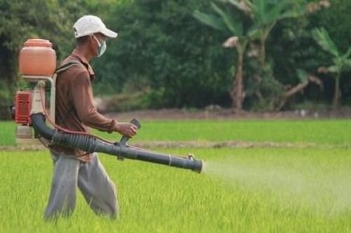 Ngộ độc hóa chất: Trang bị những kiến thức sơ cấp cứu, giúp bệnh nhân vượt qua 'cửa tử'