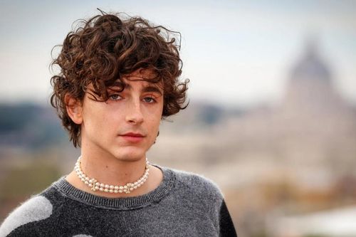 Thảm đỏ náo loạn vì Timotheé Chalamet