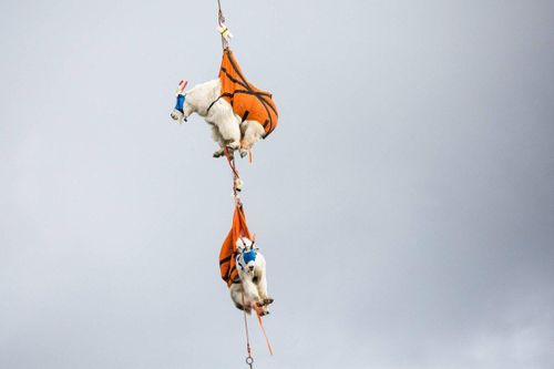 Cuộc đại chiến trên dãy núi Rocky