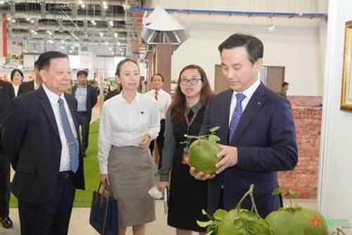 Tỉnh Yamaguchi (Nhật Bản) đến làm việc với Tổng công ty Becamex IDC