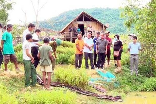 Đi hái rau về, bà ngoại tá hỏa phát hiện cháu trai 3 tuổi đuối nước dưới ao