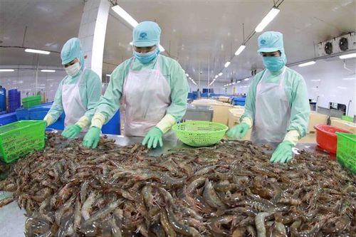 Báo Đức ca ngợi đường lối và chính sách hiệu quả của Việt Nam