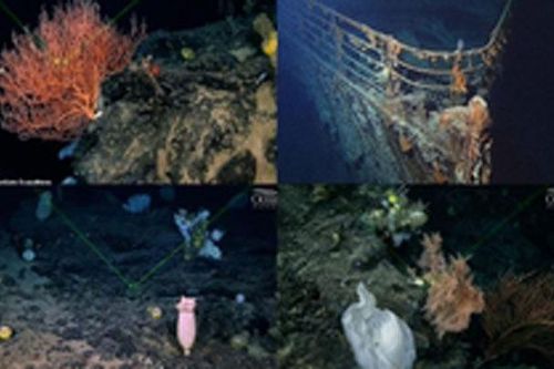 Sự thật choáng váng về hàng ngàn 'hồn ma' cạnh xác tàu Titanic