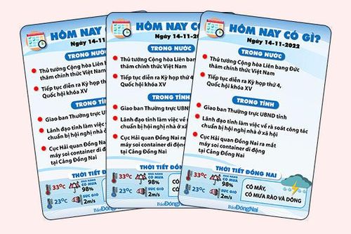 Hôm nay có gì? Ngày 14-11-2022