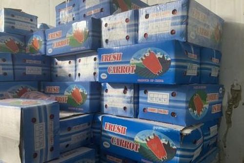 Phát hiện lượng lớn rau củ quả nhập lậu tại một cơ sở ở TPHCM