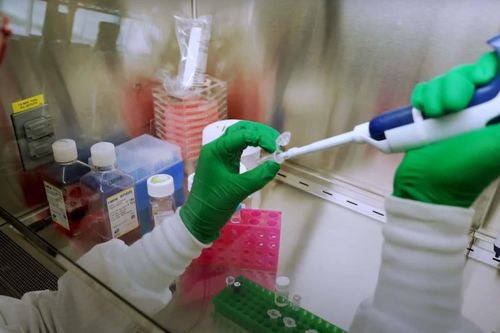 Đột phá trong chữa trị ung thư bằng công nghệ chỉnh sửa gene