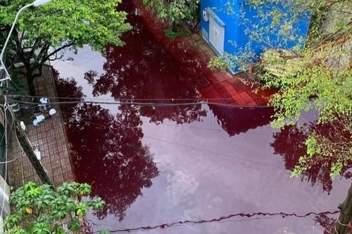 Kiểm tra các cơ sở để tìm nguồn xả thải màu đỏ trên kênh Hiệp Tân