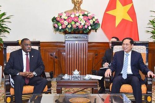 Việt Nam là đối tác ưu tiên trong mục tiêu đa dạng hóa nền kinh tế của Angola