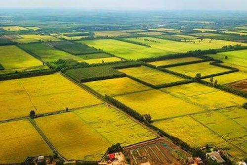 Ban hành Kế hoạch hoàn thiện dự án Luật Đất đai (sửa đổi)