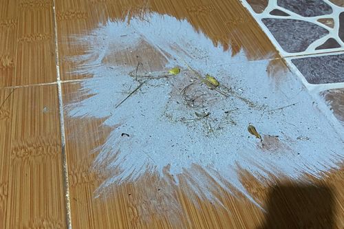 Đã xác định nguyên nhân gây bụi mịn tại Khu kinh tế Dung Quất