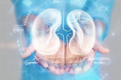 Lý do đàn ông thường bị bệnh thận tấn công mạnh hơn