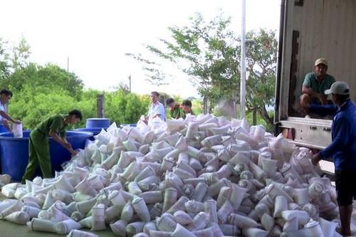 Bạc Liêu: Tiêu hủy trên 2 triệu con tôm giống không qua kiểm dịch