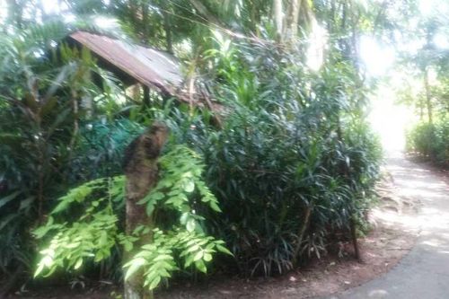 Đâm chủ quán cà phê vì nghĩ bị nhìn đểu