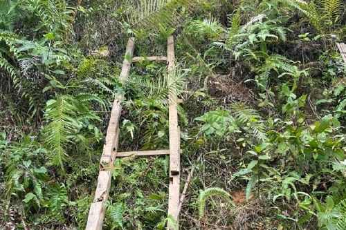 Nghệ An: Bắt đối tượng đào hố trên đồi cao để chôn giấu ma túy