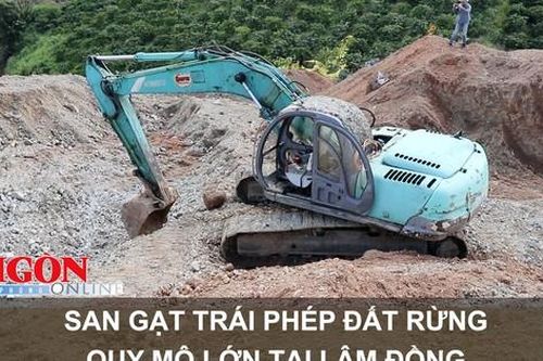 San gạt trái phép đất rừng quy mô lớn tại Lâm Đồng