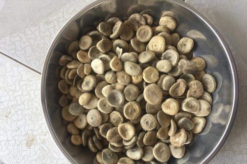 Bệnh nhân co cứng hai chân sau khi uống rượu ngâm hạt mã tiền
