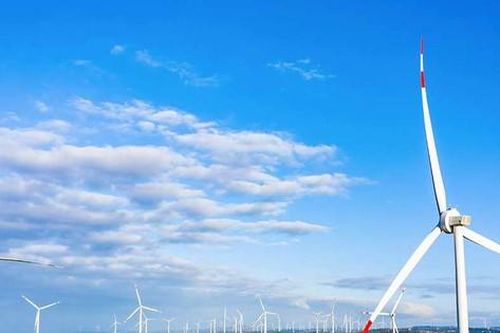 Thanh tra Chính phủ yêu cầu Đắk Lắk thu hồi hàng trăm tỷ đồng