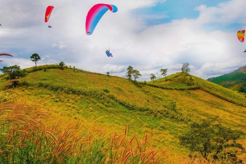 Bay lượn trên đỉnh núi lửa, mê mẩn thung lũng dã quỳ vàng rực ở Gia Lai