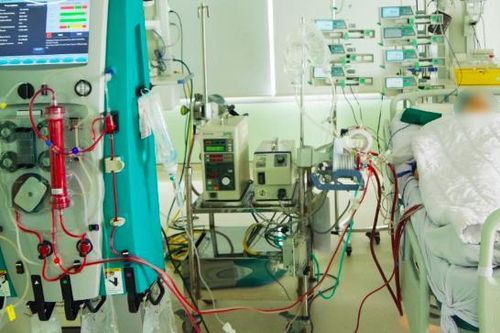 Khó thở, co cứng chân ngay sau chén rượu ngâm hạt mã tiền cực độc