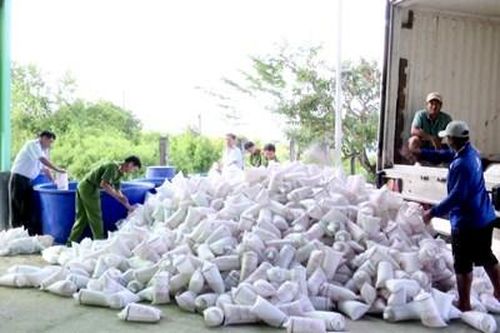 Bạc Liêu: Tiêu hủy hơn 2 triệu con tôm giống không có giấy kiểm dịch
